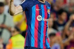 AYX-关于莱万多夫斯基在德国队比赛中绝杀，势不可挡引发热议！的信息