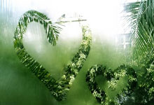 AYX-IG引发争议！，Scout官方宣布反败为胜新规上演精彩一战(ig赢过rng吗)